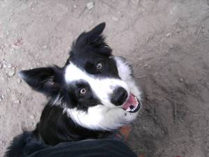 zum sortieren April07 238.jpg